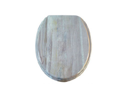 WH-W504