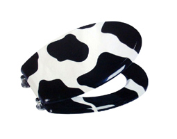 WH-HP009