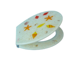 WH-PR008