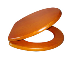 WH-SW001-2