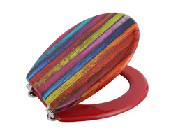 Molded UV Printed Floor Texture Toilet Sanitary Toilet Seat