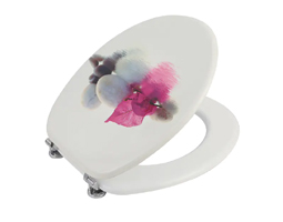 Printed Toilet Seat With Mute Hinge For Home Use